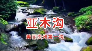 你们有没有遇到那种白眼狼的同事?-全面解答您的问题的有问必答平台